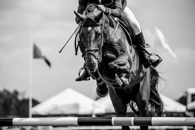 Horse jumping, equestrian sports, show jumping competition themed photograph.