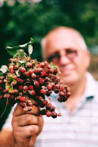 Close-up of strawberries held by senior man