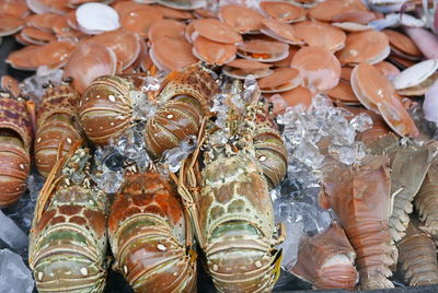 High angle view of candies for sale in market