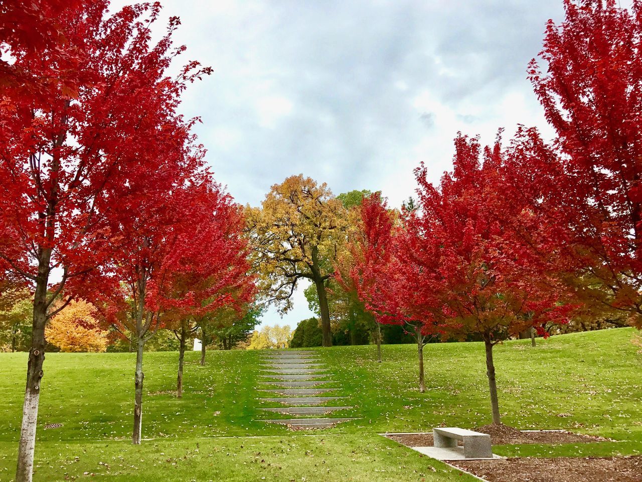 Stairways on autumn