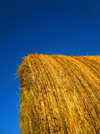 Low angle view of agricultural field against clear blue sky