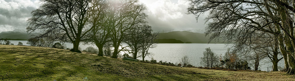 Scenic view of lake by field against sky