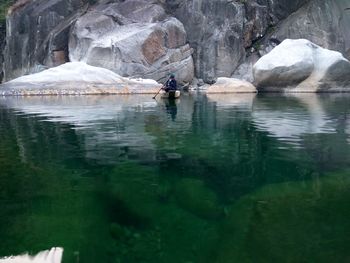 Ducks on water