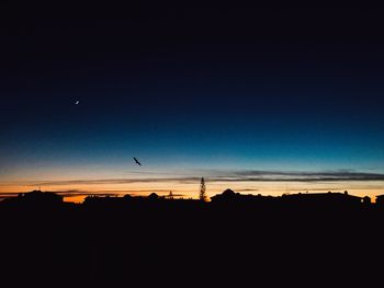 Silhouette of birds at sunset