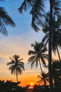 Silhouette palm trees against romantic sky at sunset