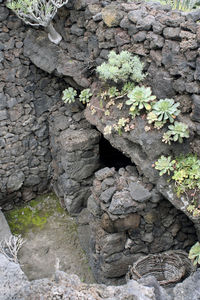 High angle view of rocks on stone wall