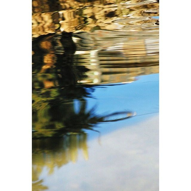 water, transfer print, reflection, lake, waterfront, auto post production filter, tranquility, nature, standing water, rippled, beauty in nature, pond, tranquil scene, outdoors, water surface, no people, river, day, floating on water, high angle view