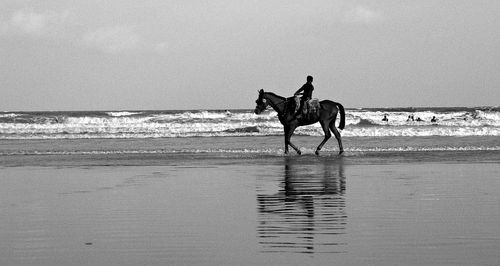 Side view of a man riding horse on beach