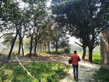 Rear view of man walking on footpath in forest