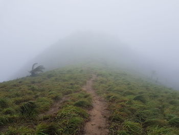 Scenic view of landscape during foggy weather