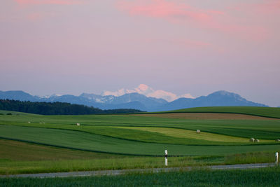 Scenic view of field against sky during sunset