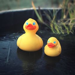 Close-up of yellow toy floating on water