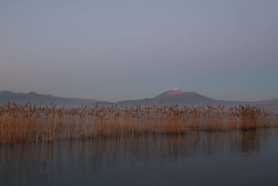 Scenic view of lake against sky