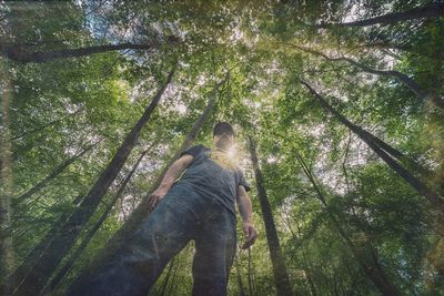 Low angle view of man standing in forest