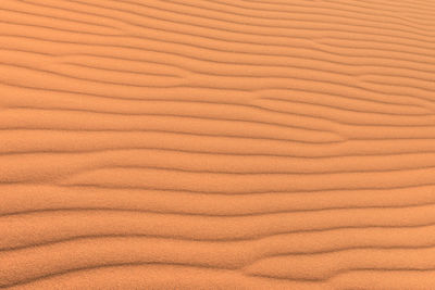 Full frame shot of sand dunes