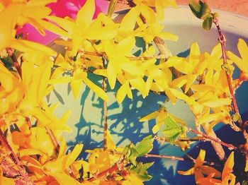 Autumnal leaves on tree trunk