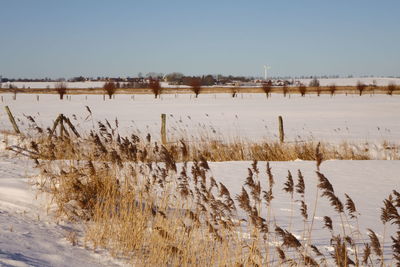 Scenic view of lake against sky during winter