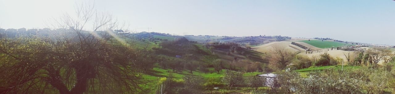 clear sky, mountain, tranquil scene, tranquility, scenics, landscape, beauty in nature, tree, nature, copy space, non-urban scene, mountain range, plant, growth, remote, idyllic, day, sky, hill, grass