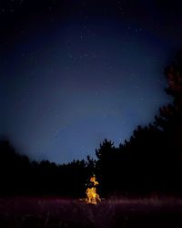 Silhouette trees on field against sky at night