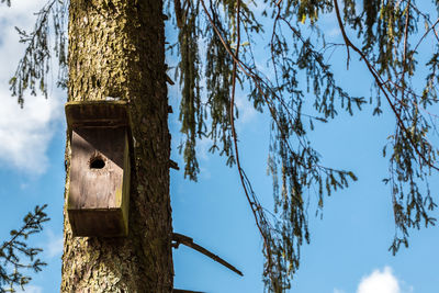 Low angle view of birdhouse on tree against sky