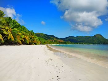 Scenic view of beach against sky