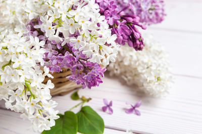 Close-up of pink flowering plant on table
