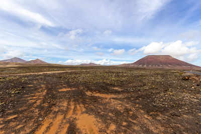 Panoramic view at the coastline of corralejo on canary island fuerteventura, spain