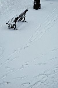 Snow covered landscape