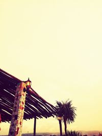 Low angle view of palm trees against sky