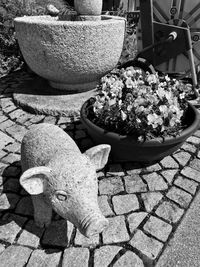 Close-up of flower sculpture