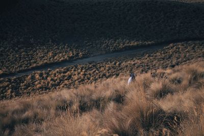 Scenic view of field against mountain