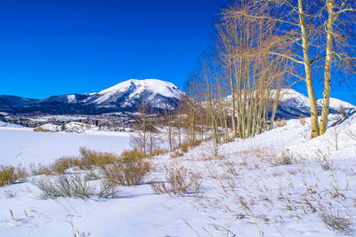 Snow covered landscape against blue sky