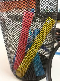 Low angle view of multi colored horse