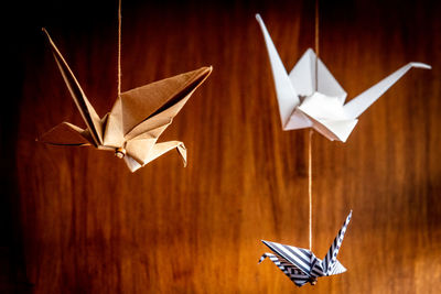 I want to fly away. three origami swans hanging from the roof with a wooden background