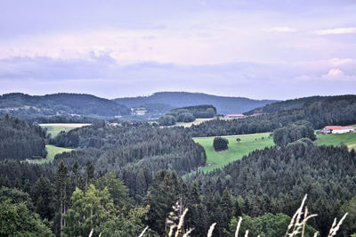 Scenic view of landscape against sky