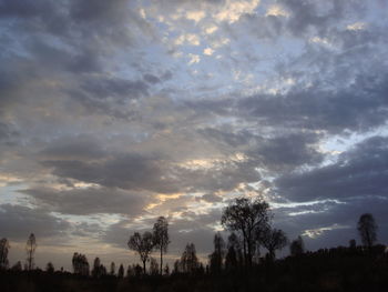 Low angle view of trees against cloudy sky