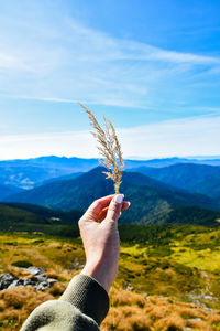 Dry grass in the woman's hand against the background of the mountain landscape and blue sky. travel