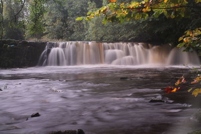 View of waterfall in forest