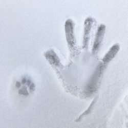 Close-up of snow covered hand