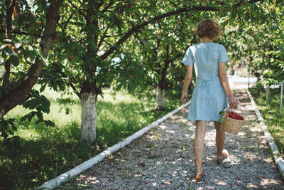 Woman carrying strawberries in basket on footpath