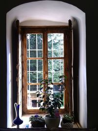 Plants seen through window