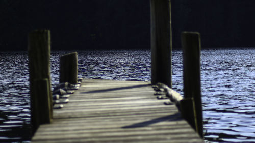 Wooden posts in sea