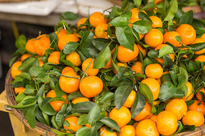 Close-up of oranges