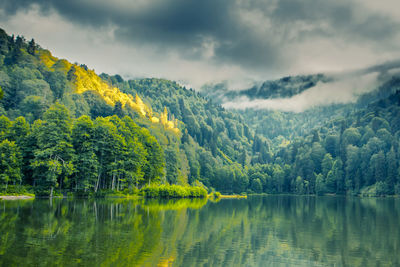 Scenic view of lake by trees against sky