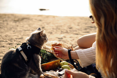 Midsection of woman eating while sitting on land