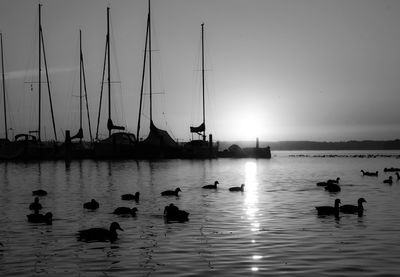 Sailboats in sea against clear sky