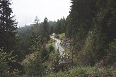 Empty dirt road amidst trees in forest against clear sky