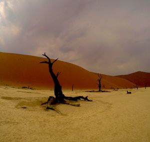 Scenic view of beach against cloudy sky