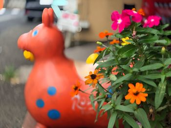 Close-up of orange flower in pot