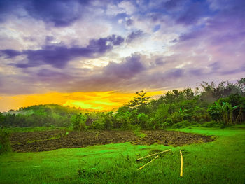 Scenic view of field against sky during sunset